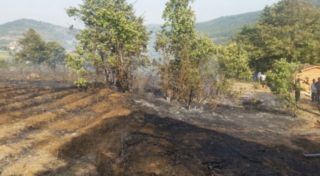 Bursa&#039;da 3 hektarlık ormanlık alan yandı