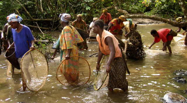 Kongo Demokratik Cumhuriyeti&#039;ndeki su taşkınları