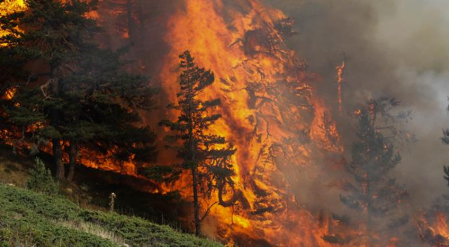 Kütahya&#039;daki orman yangınını söndürme çalışmaları sürüyor