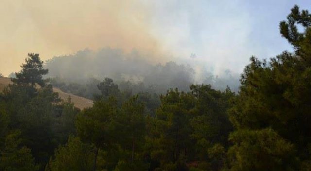 Manisa&#039;da orman yangını: 80 dönüm zarar gördü
