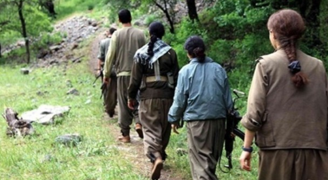 Mardin’de PKK’ya darbe: 6 terörist öldürüldü