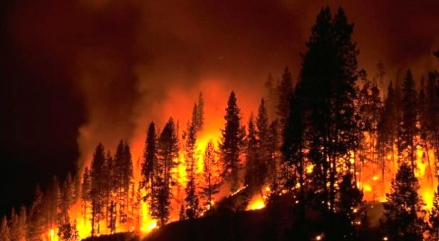 Oltu&#039;da 4&#039;üncü kez orman yangını çıktı