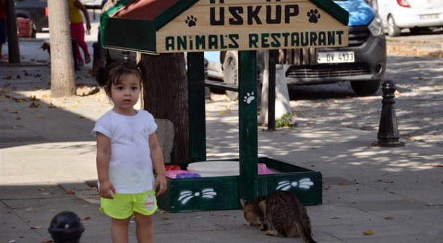 Selimpaşa&#039;da sokak hayvanları için mini restoran!