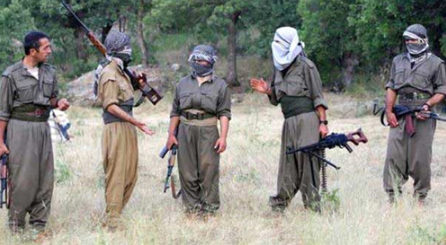 Siirt Valisi açıkladı: PKK&#039;nın Akmeşe grubu tamamen imha edildi