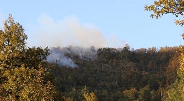 Zonguldak&#039;ta orman yangını