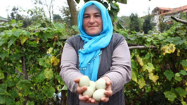 Örnek girişimci kadının hayalini &#039;yeşil yumurta&#039; tesisi süslüyor