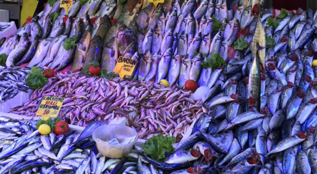 Türkiye&#039;de kişi başı balık tüketimi ortalama 8 kilo