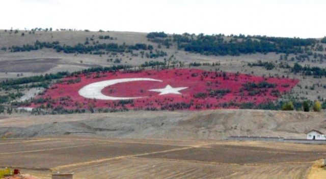 20 bin ton taşla, Türk Bayrağı yaptılar