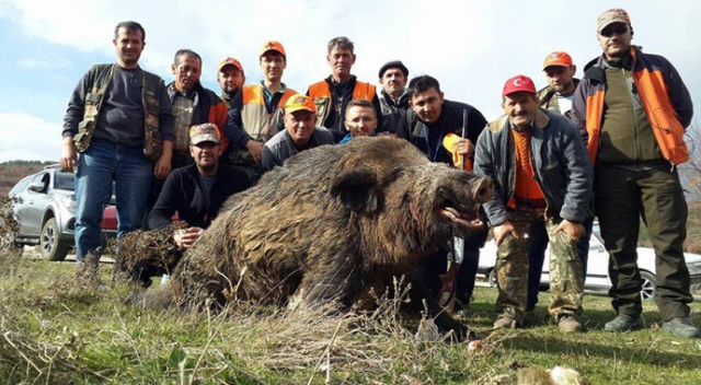 Bilecik&#039;te ‘Diriliş Tim’ avcıları 262 kiloluk yaban domuzu avladı