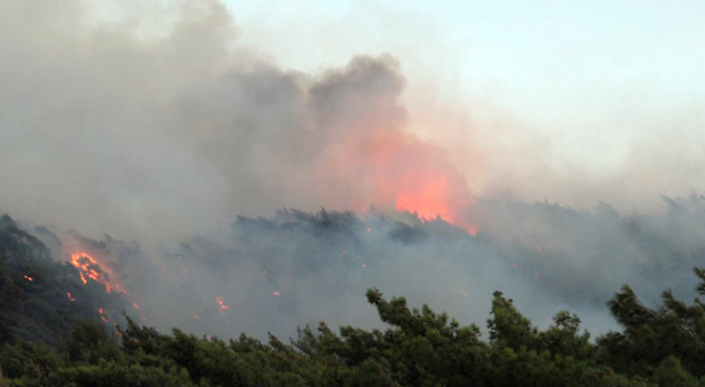 Datça’daki orman yangını söndürüldü