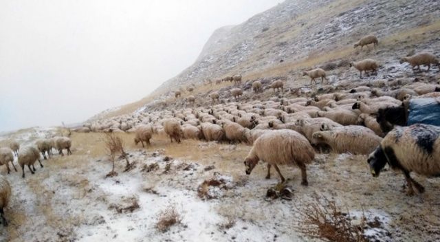 Erzincan&#039;da çobanlar yaylada mahsur kaldı