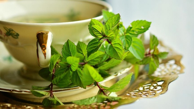 Kış çayı nasıl demlenir, gribe ne iyi gelir? (Bitki Çayı Zararlı Mı?)