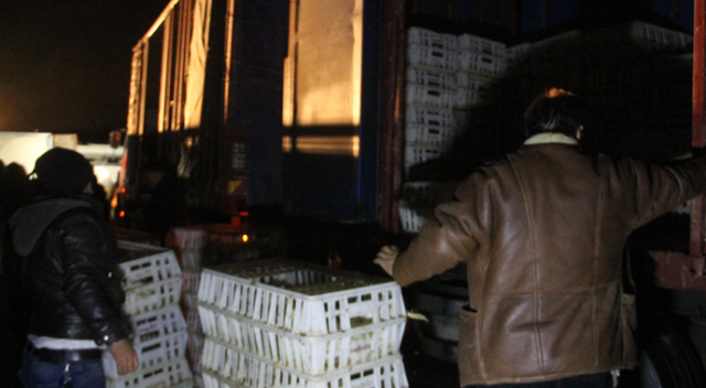 ​Bolu’da devrilen kamyondaki tavukların bir kısmı telef oldu
