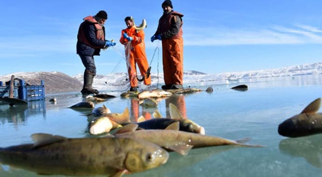 Donan gölde buzları &#039;motorlu testere&#039;yle kesip balık avlıyorlar