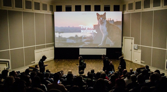 İstanbul kedileri Rus sinemalarında
