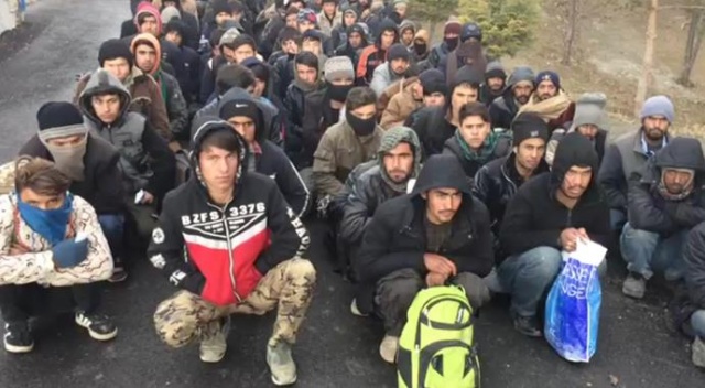 Sivas&#039;ta 137 kaçak göçmen yakalandı