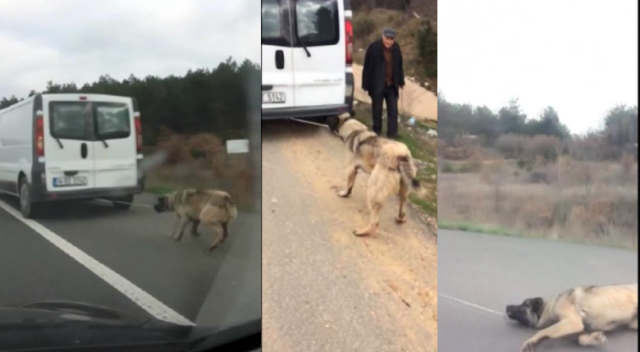 Edirne&#039;de köpeğini aracın arkasında sürükleyen vatandaşa tepki
