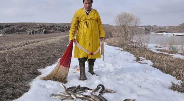 Kars Çayı&#039;nın buzları eridi, balıkçılara yaradı
