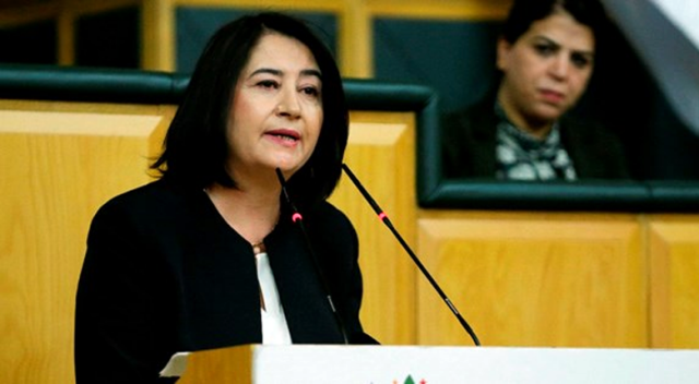 HDP Eş Genel Başkanı Serpil Kemalbay hakkında gözaltı kararı ​