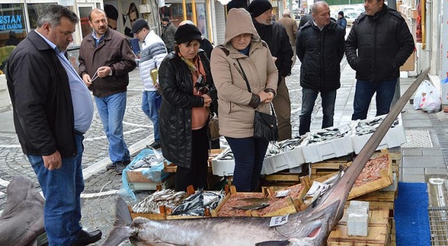 Marmara&#039;da 2,5 metrelik kılıç balığı yakalandı