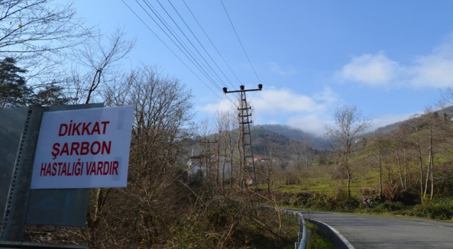 Trabzon’da şarbon tehlikesi