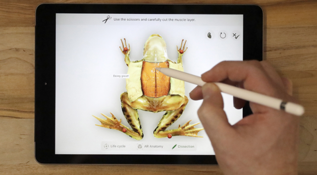 Apple’dan öğrenciye  özel ucuz tablet
