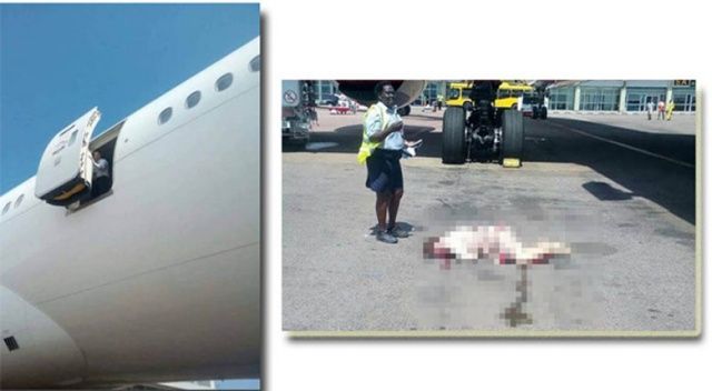 Uçaktan düşen hostes öldü