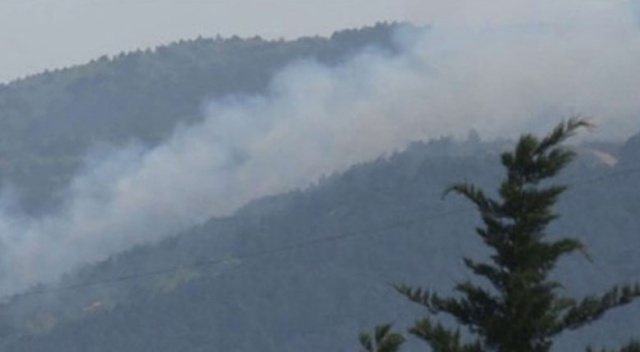 Sancaktepe&#039;de yangın! Aydos Ormanı alev alev!