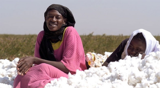 Sudan’da pamuk  ve soya ekeceğiz