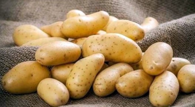 Patatesin kilo fiyatı 1,95 TL’ye geriliyor