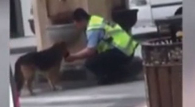 Polis avucuyla köpeğe su içirdi