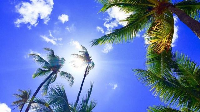 Hawaii &#039;güneş kremi&#039; düzenlemesiyle ABD&#039;de bir ilke imza attı