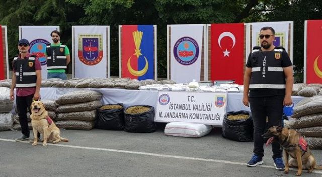 Jandarma&#039;dan dev başarı! İstanbul&#039;u kurtardı