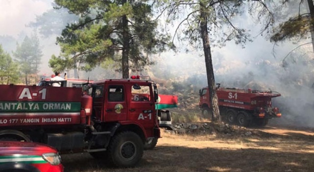 Antalya&#039;da korkutan orman yangını