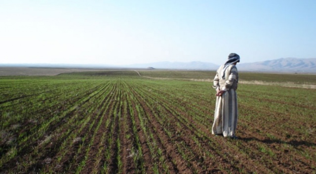 Irak&#039;ta kuraklık tarım sektörünü vurdu