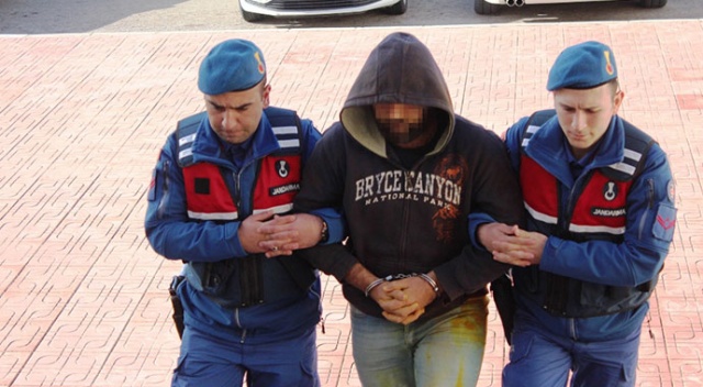 Bodrum’da insan kaçakçılarına operasyon
