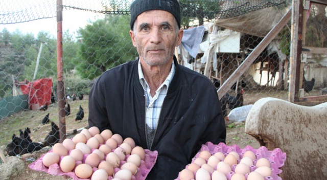 Son maaşı ile çiftlik kurdu, koli koli yumurta topluyor