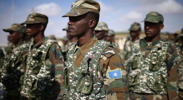 Somali ordusu 73 Eş-Şebab militanını etkisiz hale getirdi