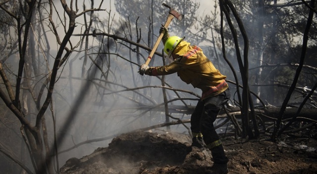 Yeni Zelanda’da orman yangınları söndürülemiyor