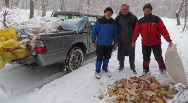Hayvanseverler, sokak hayvanları için 3 ayda 2 ton ekmek topladılar