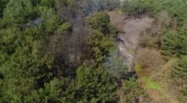 Sultangazi Cebeci köyünde ormanlık alanda yangın