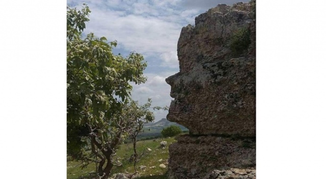 Bu kaya insan yüzünü andırıyor