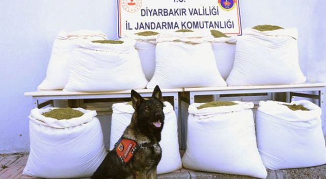 Diyarbakır&#039;da 346 kilogram esrar ele geçirildi