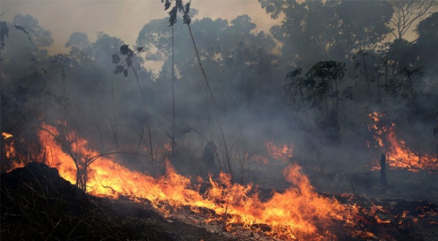 Apple Amazon&#039;daki yangınla mücadele için bağış yapacak