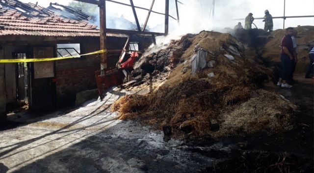 Arnavutköy&#039;de feci olay: 11 büyükbaş hayvan yanarak telef oldu