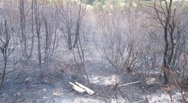 Biga’daki orman yangını kontrol altına alındı