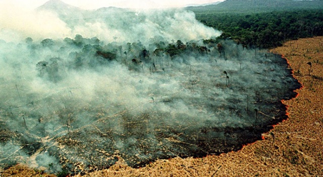 Brezilya, Amazon yangınları için askeri kuvvetleri devreye sokabilir