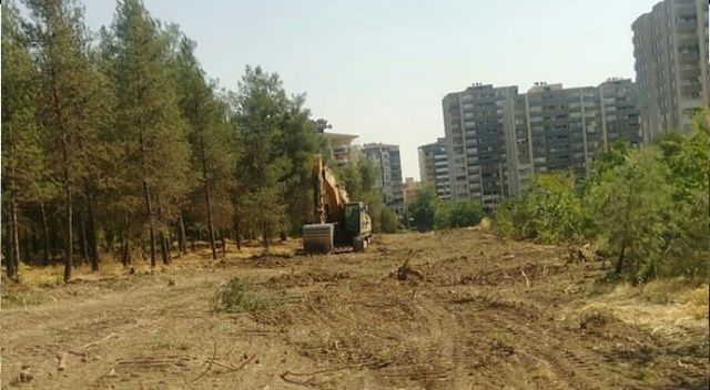HDP&#039;li belediyeden ağaç katliamı