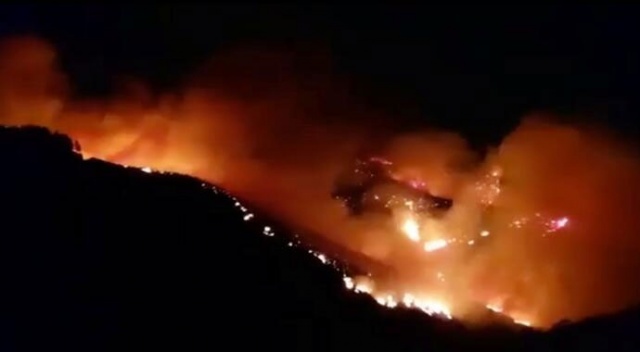Kanarya Adaları&#039;nda orman yangını