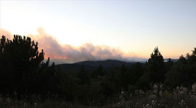 Kütahya&#039;daki orman yangını kontrol altına alındı